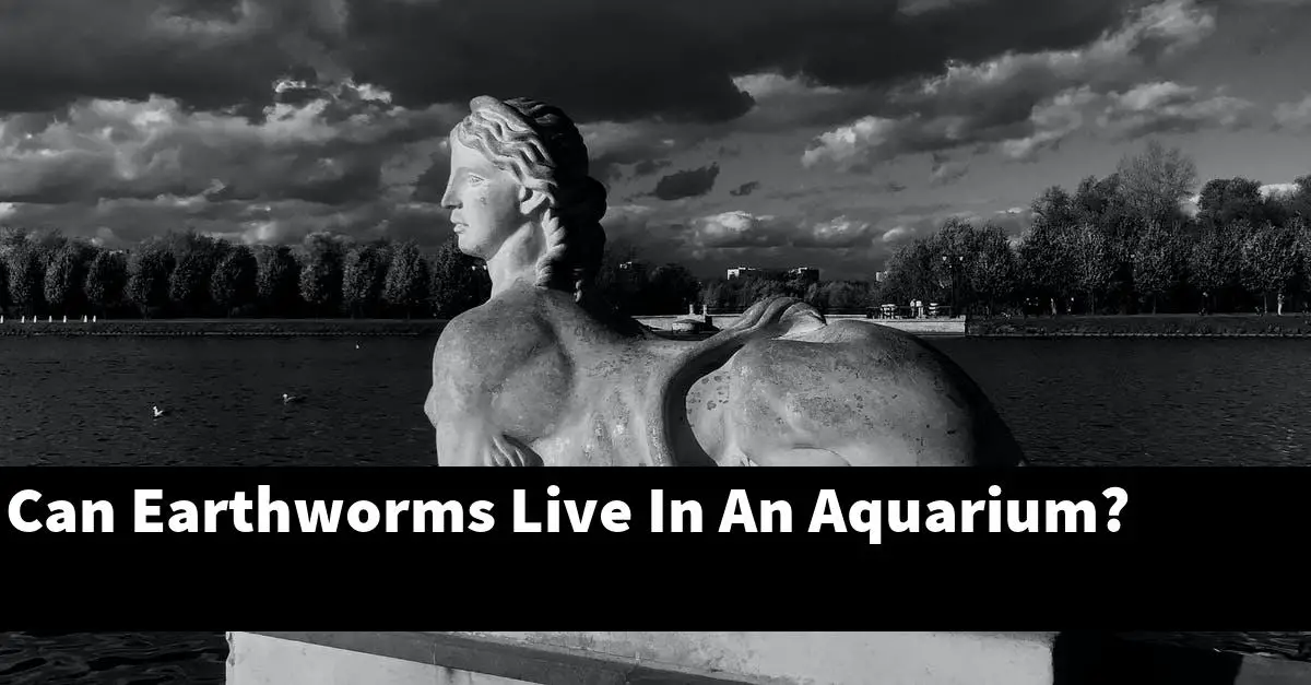 Can Earthworms Live In An Aquarium?