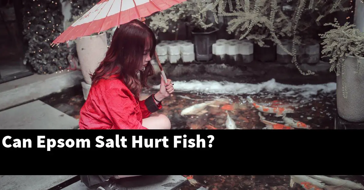 Can Epsom Salt Hurt Fish?