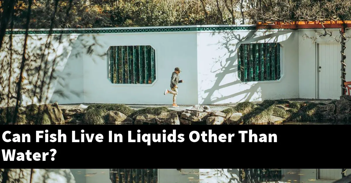 Can Fish Live In Liquids Other Than Water?