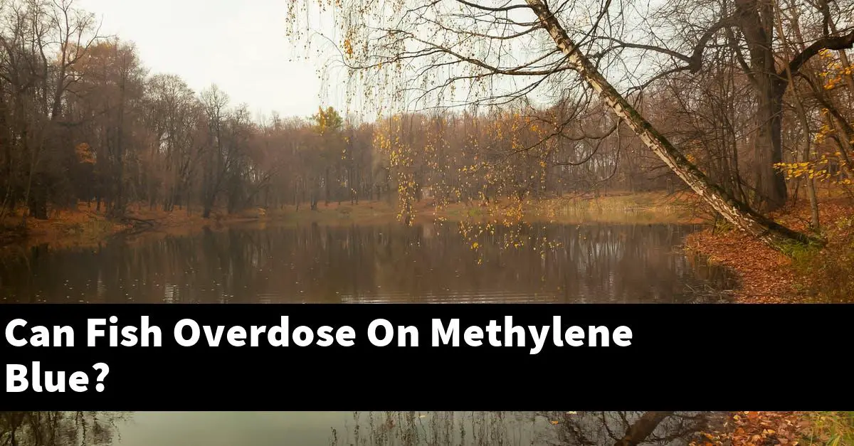 Can Fish Overdose On Methylene Blue?