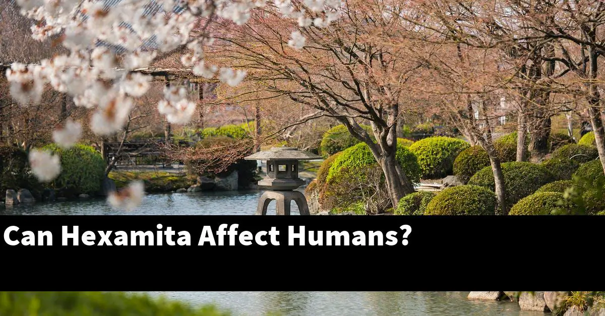 Can Hexamita Affect Humans?
