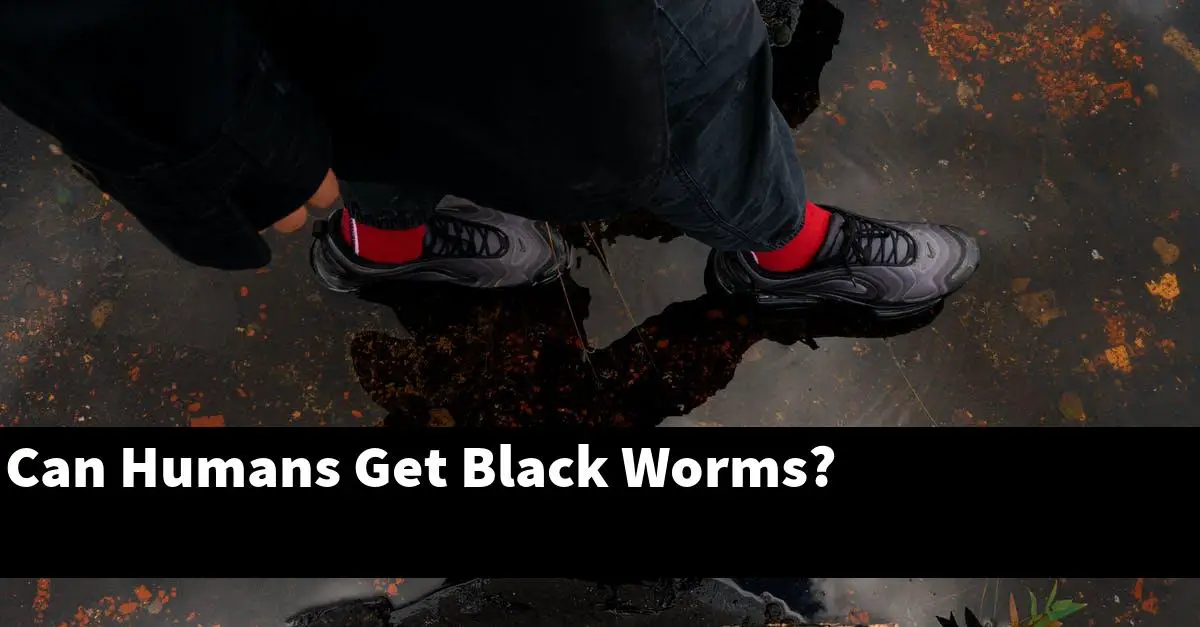 Can Humans Get Black Worms?