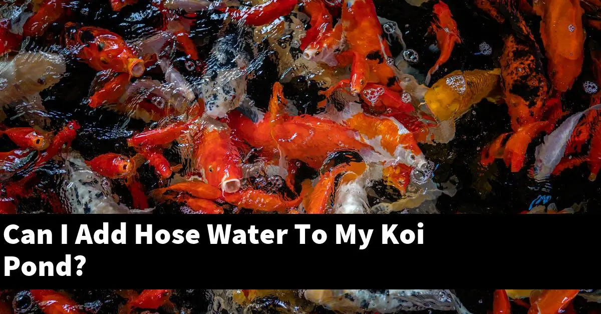 Can I Add Hose Water To My Koi Pond?