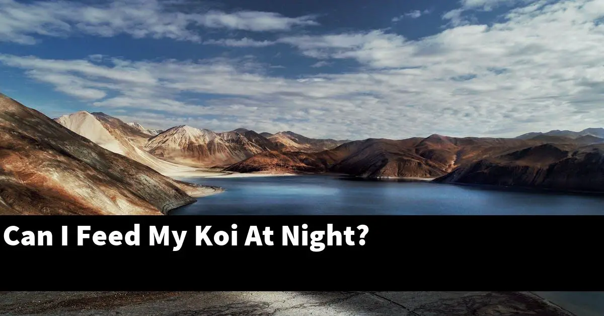Can I Feed My Koi At Night?