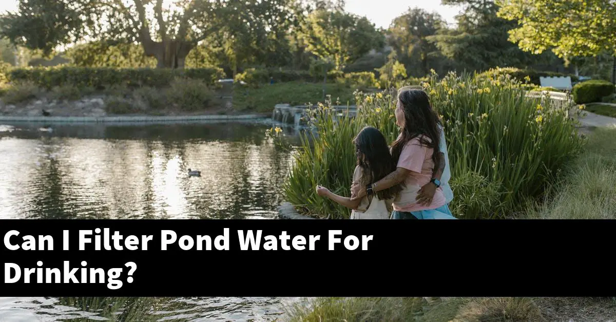 Can I Filter Pond Water For Drinking?