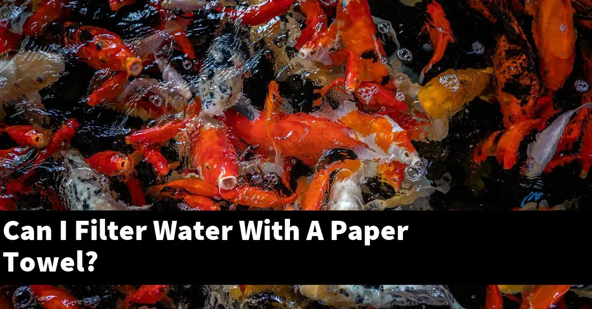 Can I Filter Water With A Paper Towel?