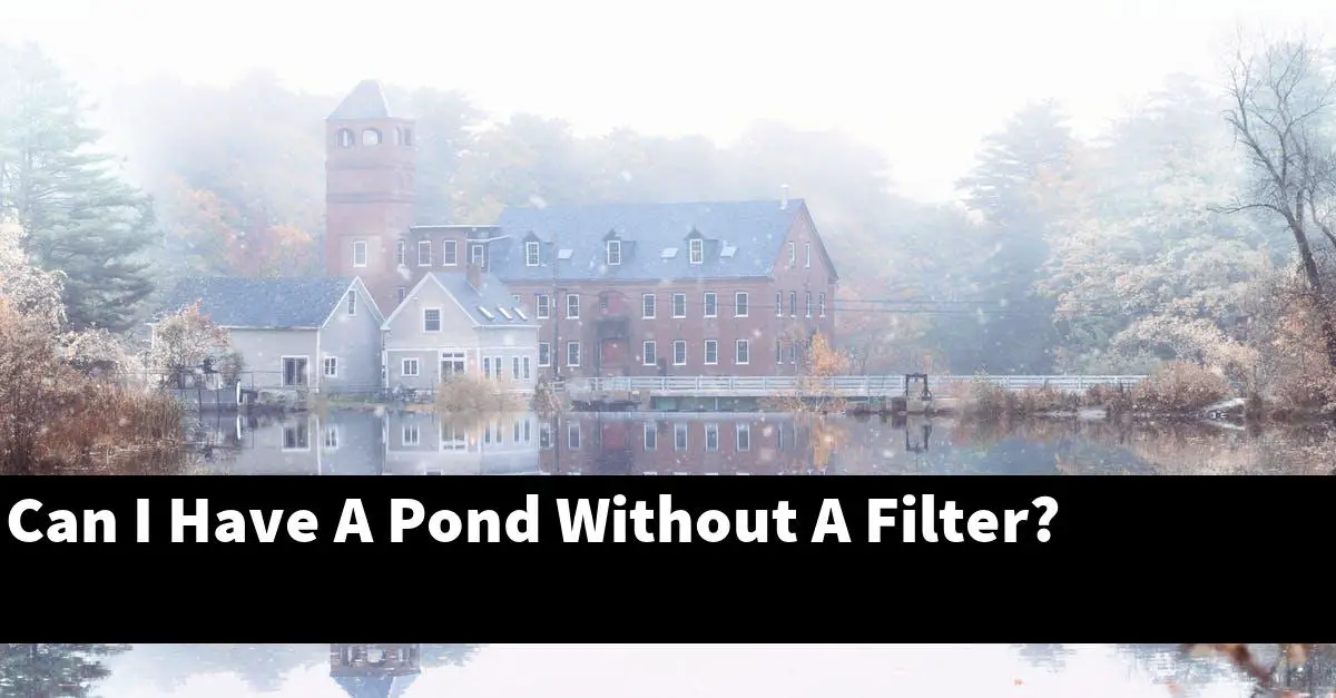 Can I Have A Pond Without A Filter?