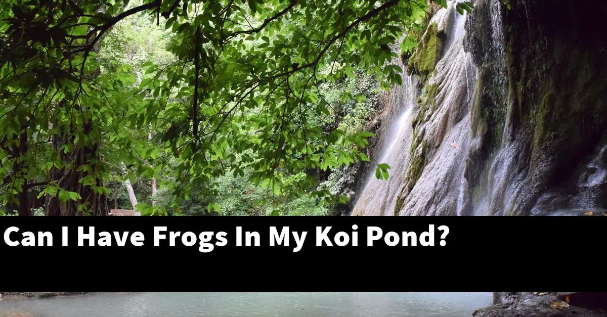 Can I Have Frogs In My Koi Pond?
