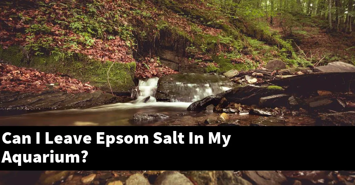 Can I Leave Epsom Salt In My Aquarium?