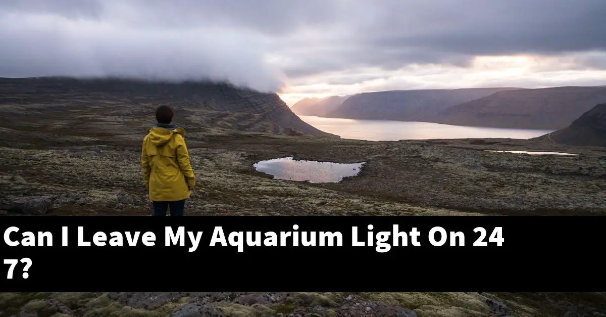 Can I Leave My Aquarium Light On 24 7?