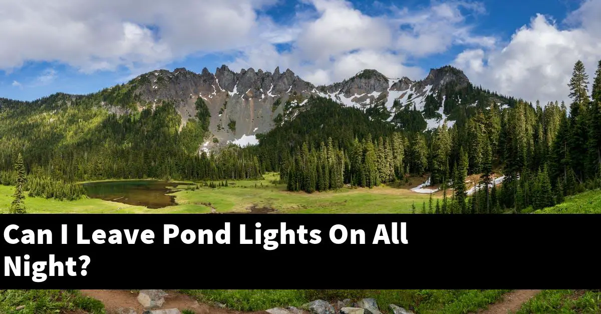Can I Leave Pond Lights On All Night?