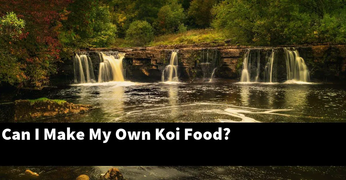 Can I Make My Own Koi Food?