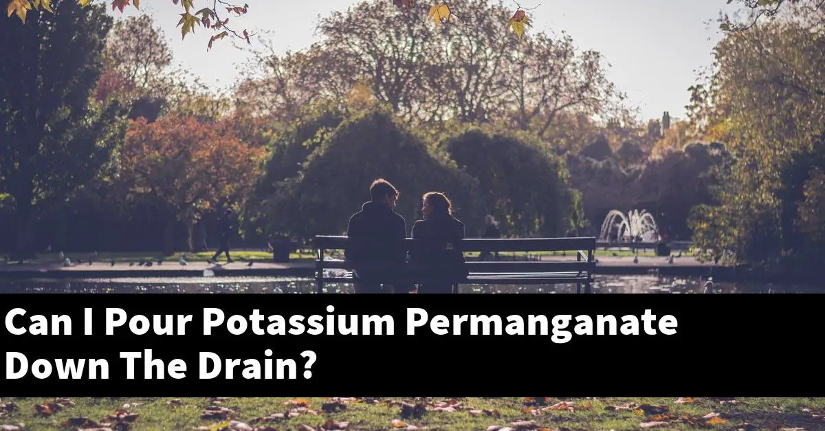 Can I Pour Potassium Permanganate Down The Drain?