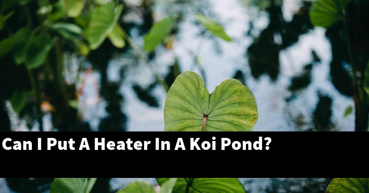 Can I Put A Heater In A Koi Pond?