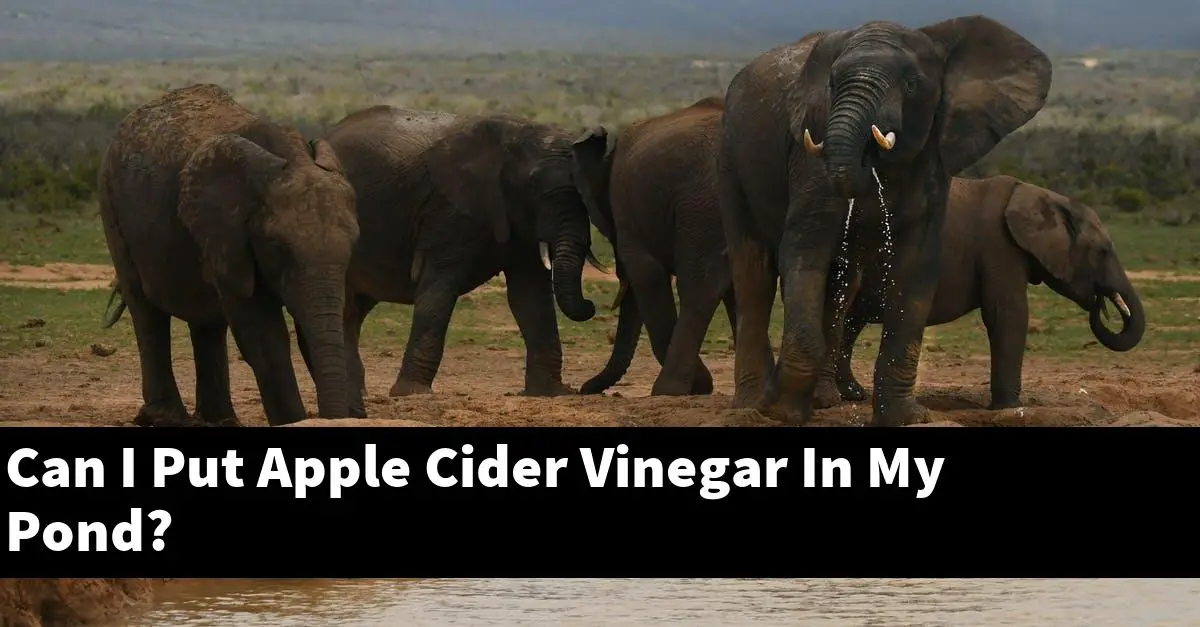 Can I Put Apple Cider Vinegar In My Pond?