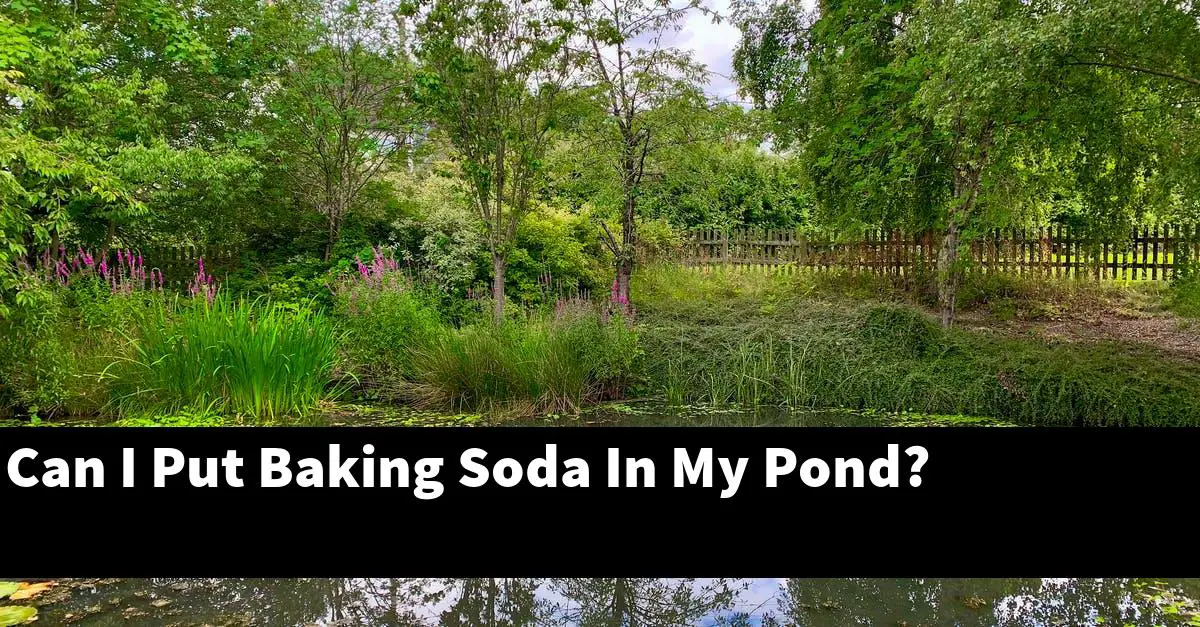 Can I Put Baking Soda In My Pond?