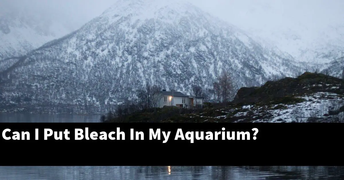 Can I Put Bleach In My Aquarium?