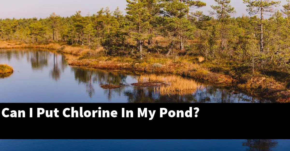 Can I Put Chlorine In My Pond?