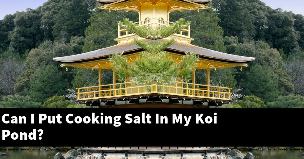 Can I Put Cooking Salt In My Koi Pond?