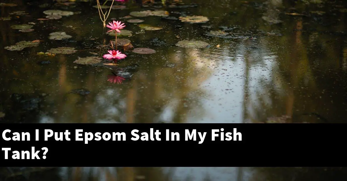 Can I Put Epsom Salt In My Fish Tank?