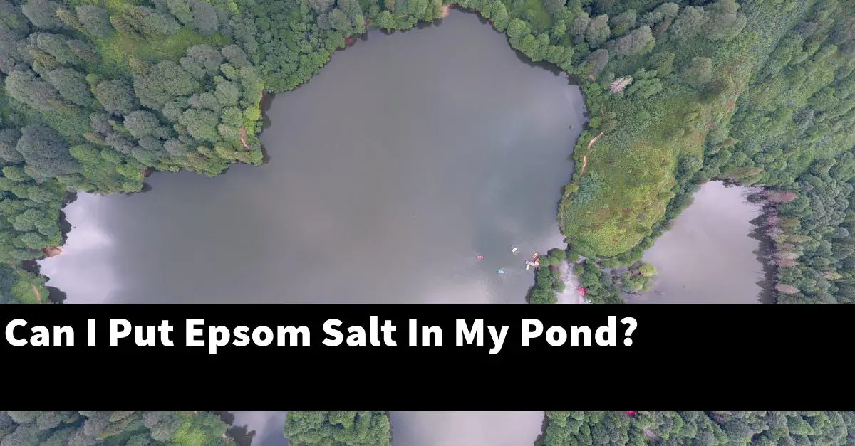 Can I Put Epsom Salt In My Pond?