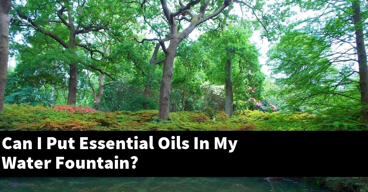 Can I Put Essential Oils In My Water Fountain?