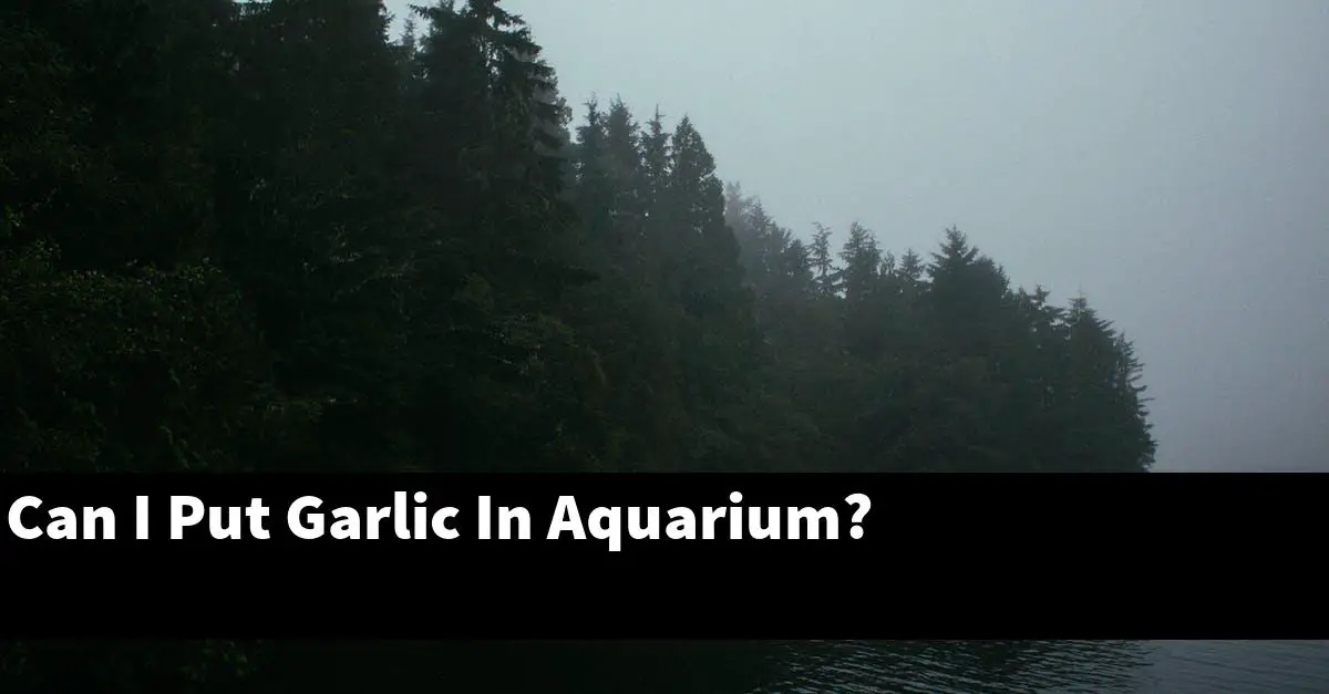 Can I Put Garlic In Aquarium?