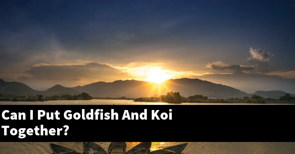 Can I Put Goldfish And Koi Together?