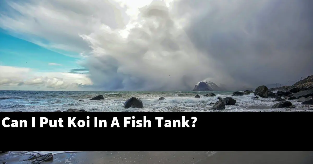 Can I Put Koi In A Fish Tank?