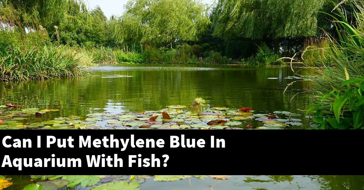 Can I Put Methylene Blue In Aquarium With Fish?
