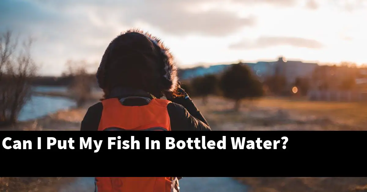 Can I Put My Fish In Bottled Water?