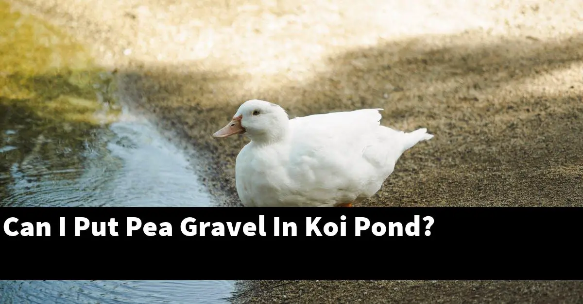 Can I Put Pea Gravel In Koi Pond?