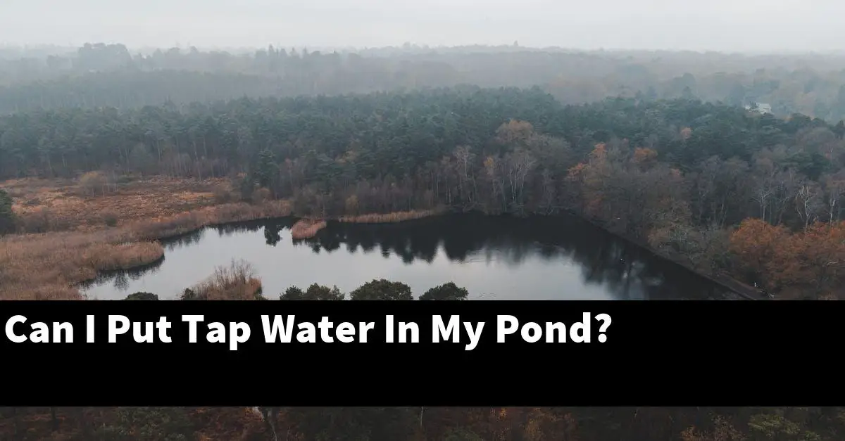 Can I Put Tap Water In My Pond?
