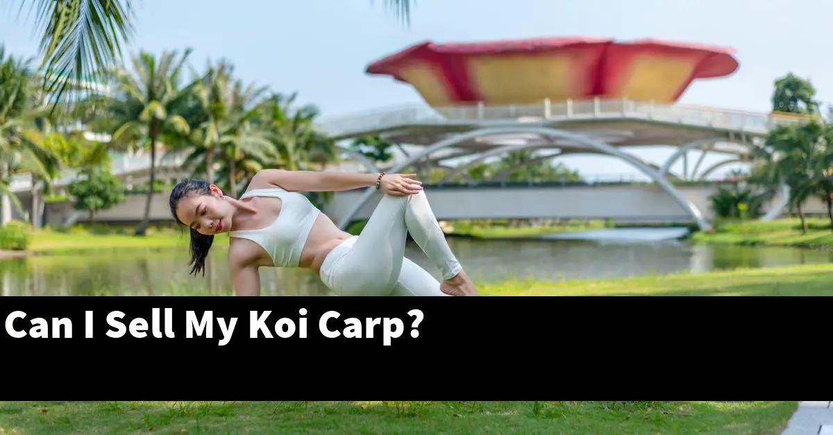 Can I Sell My Koi Carp?