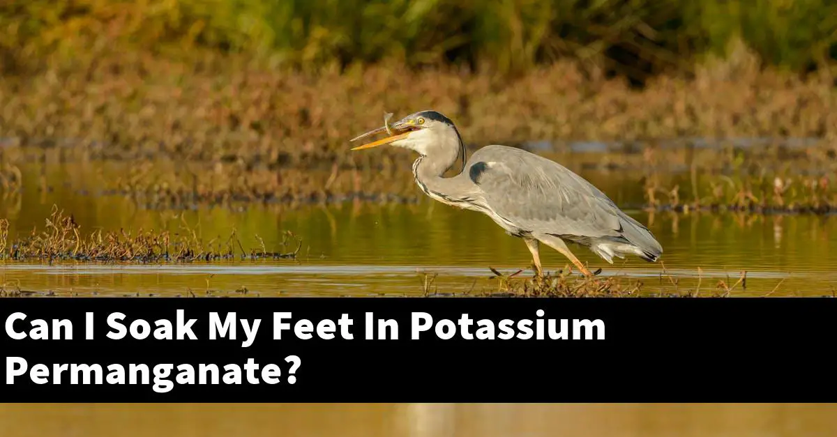 Can I Soak My Feet In Potassium Permanganate?