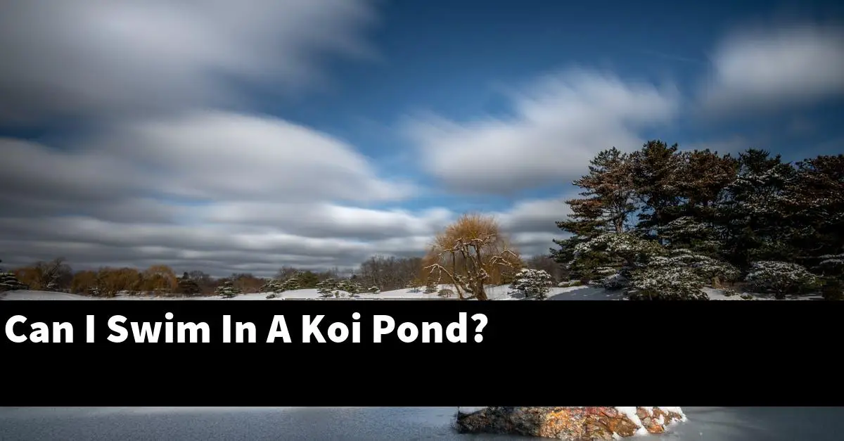 Can I Swim In A Koi Pond?