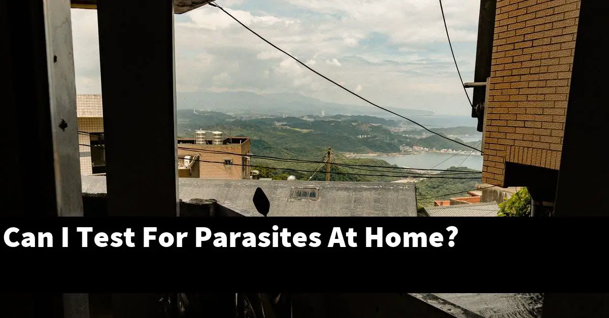 Can I Test For Parasites At Home?