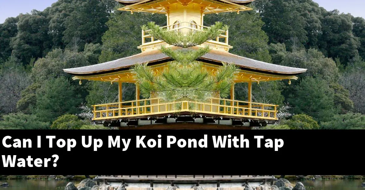 Can I Top Up My Koi Pond With Tap Water?