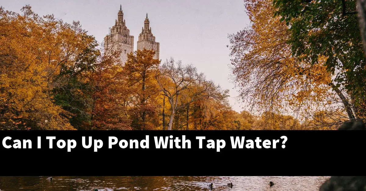 Can I Top Up Pond With Tap Water?