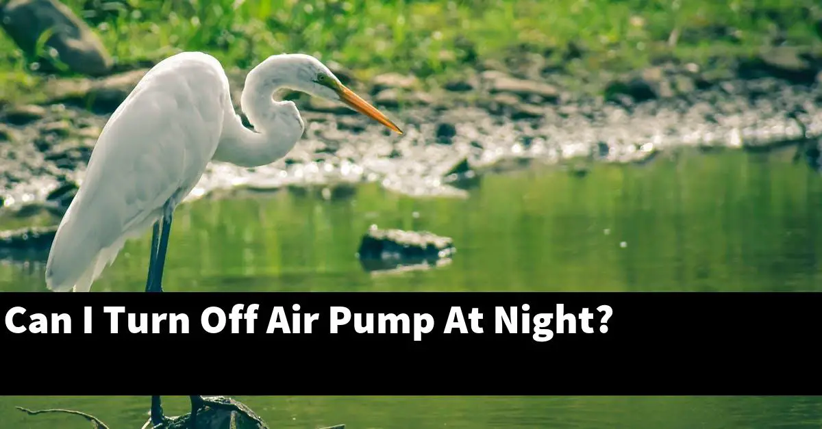 Can I Turn Off Air Pump At Night?