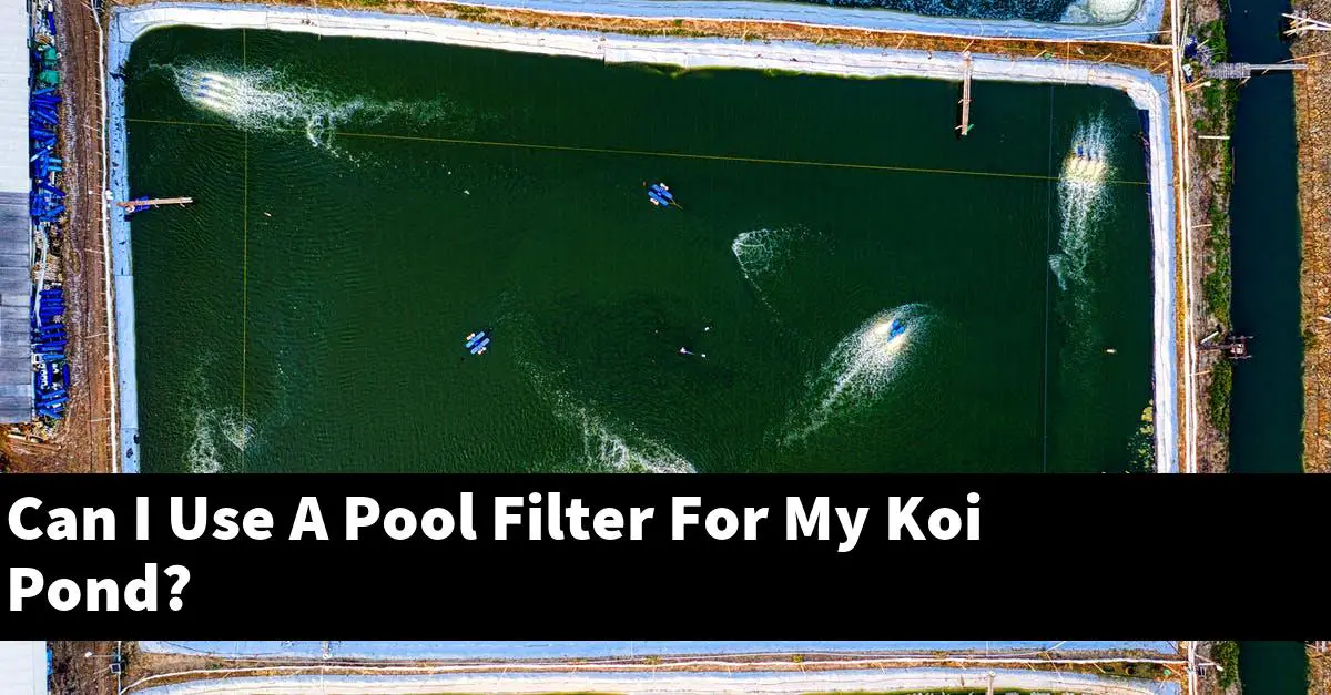 Can I Use A Pool Filter For My Koi Pond?