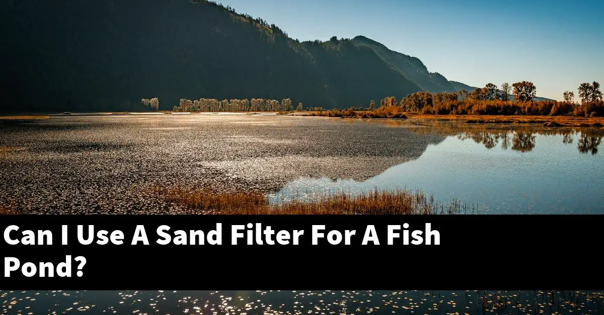 Can I Use A Sand Filter For A Fish Pond?