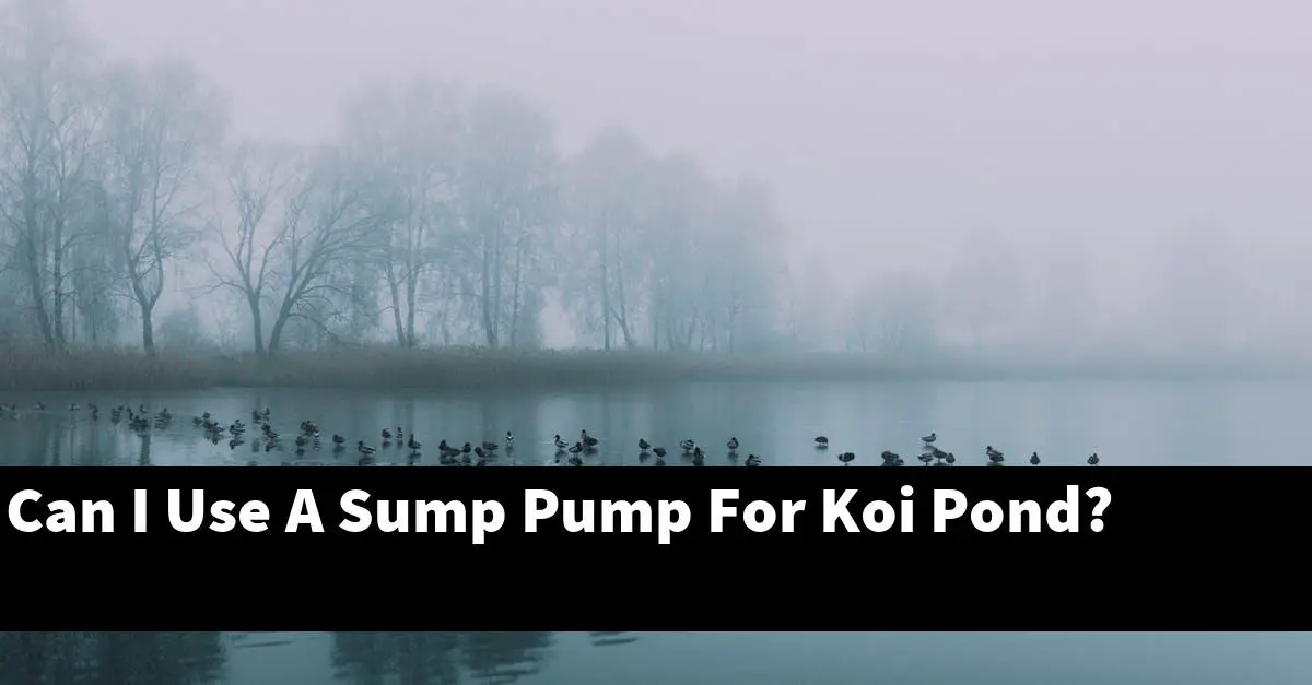 Can I Use A Sump Pump For Koi Pond?