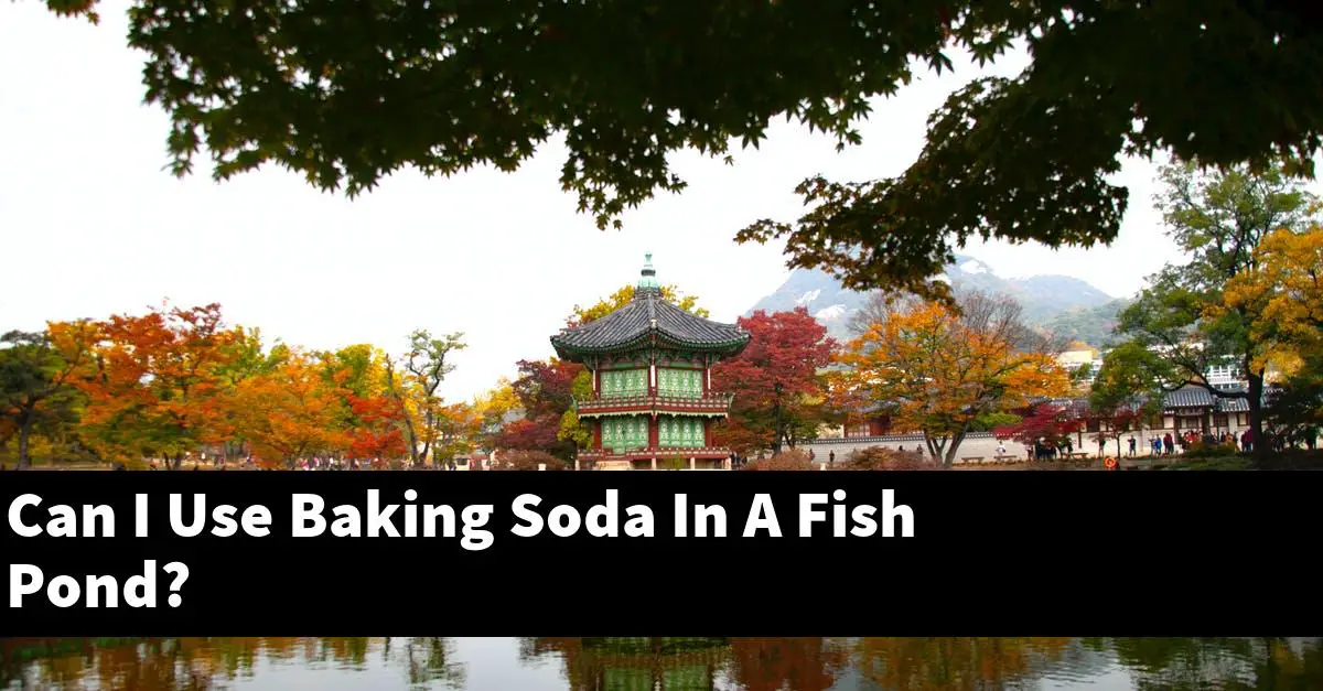 Can I Use Baking Soda In A Fish Pond?