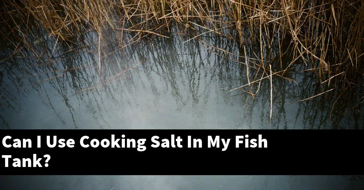 Can I Use Cooking Salt In My Fish Tank?