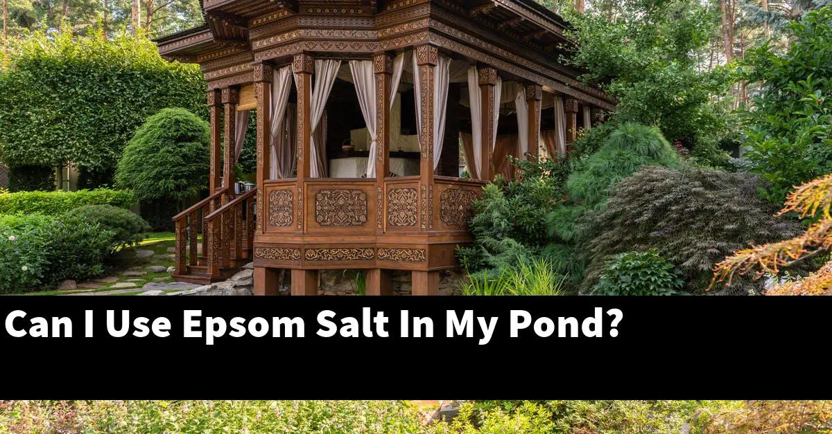 Can I Use Epsom Salt In My Pond?