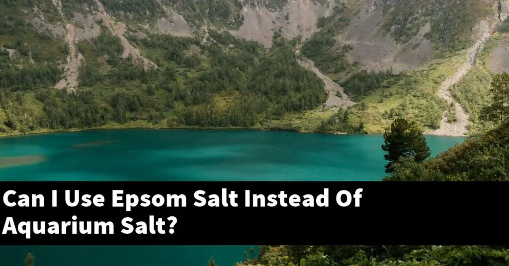 Can I Use Epsom Salt Instead Of Aquarium Salt? [2024 Guide] Gold Koi Fish