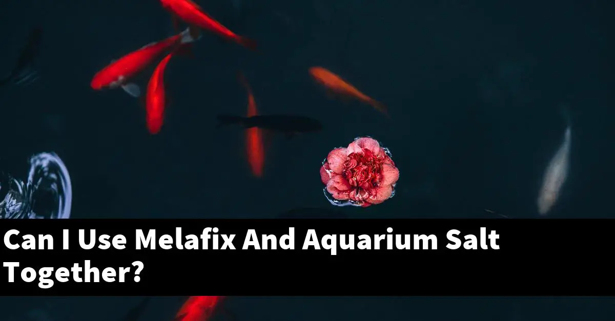 Can I Use Melafix And Aquarium Salt Together?