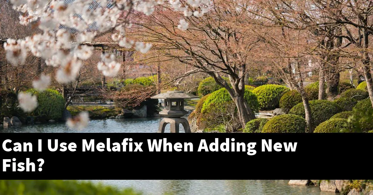 Can I Use Melafix When Adding New Fish?