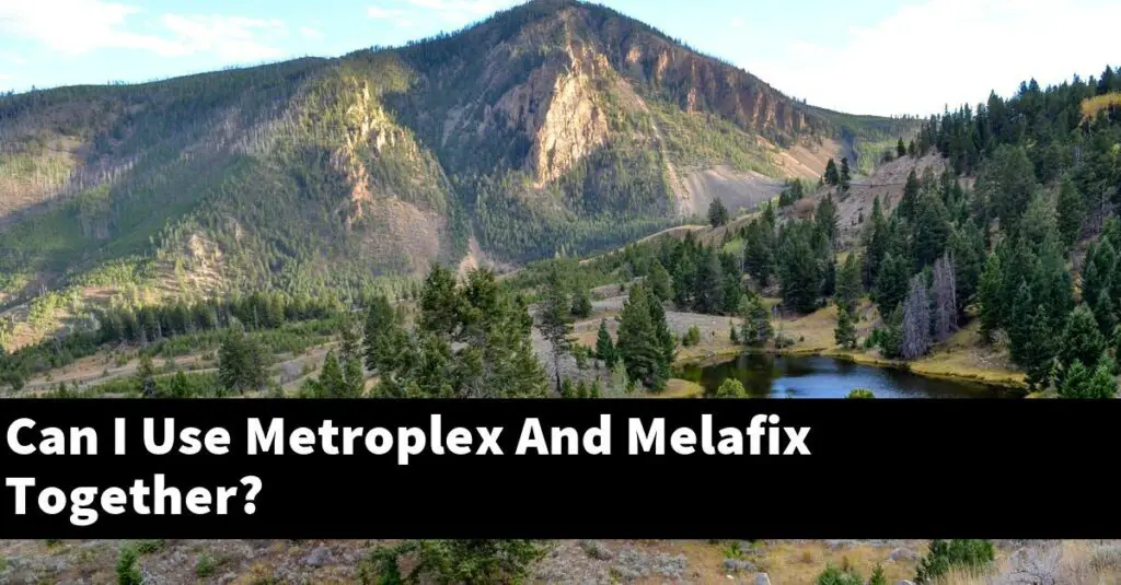 Can I Use Metroplex And Melafix Together? [2024 Guide] Gold Koi Fish